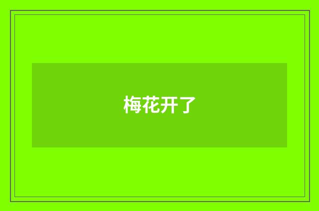 梅花开了