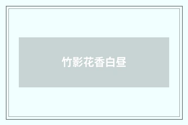 竹影花香白昼