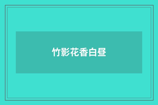 竹影花香白昼