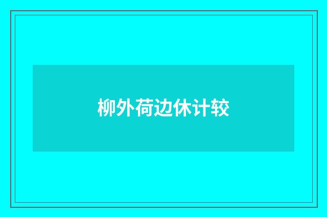 柳外荷边休计较