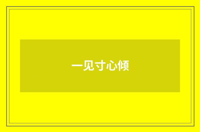 一见寸心倾