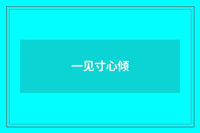 一见寸心倾