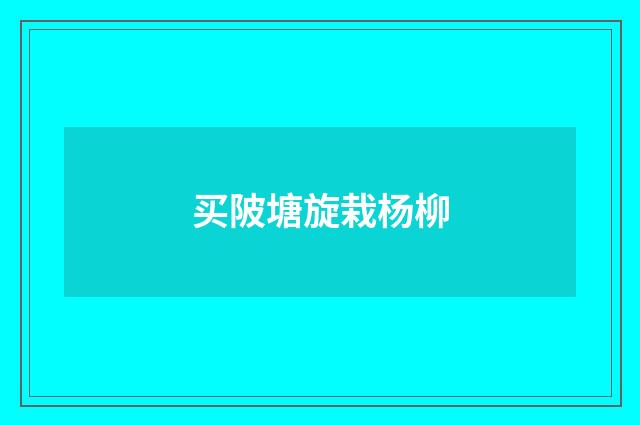 买陂塘旋栽杨柳