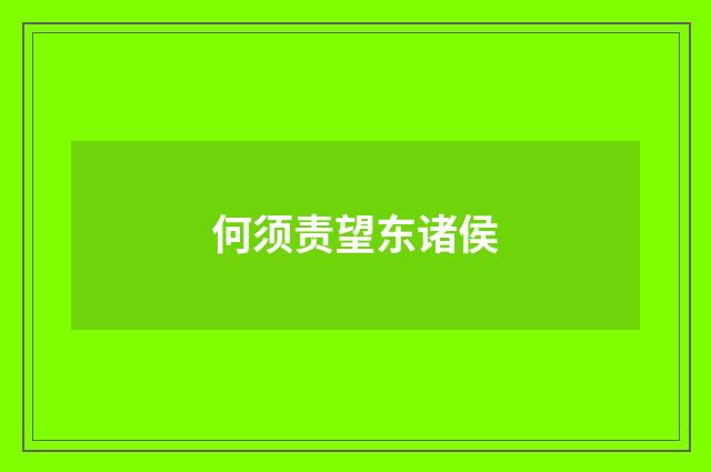 何须责望东诸侯