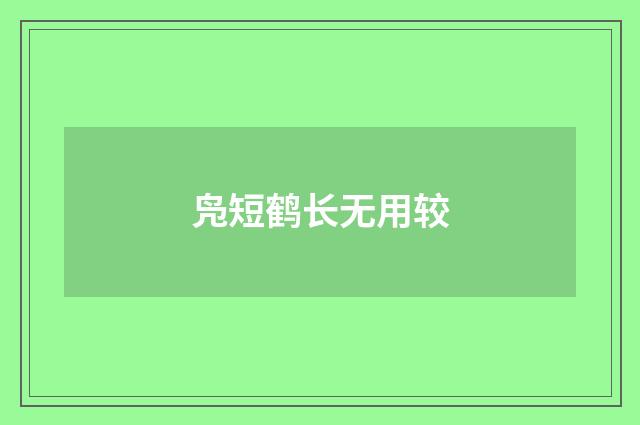 凫短鹤长无用较