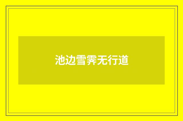 池边雪霁无行道