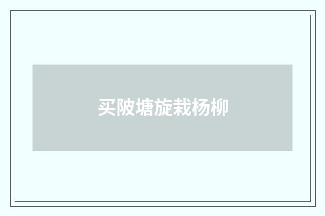 买陂塘旋栽杨柳