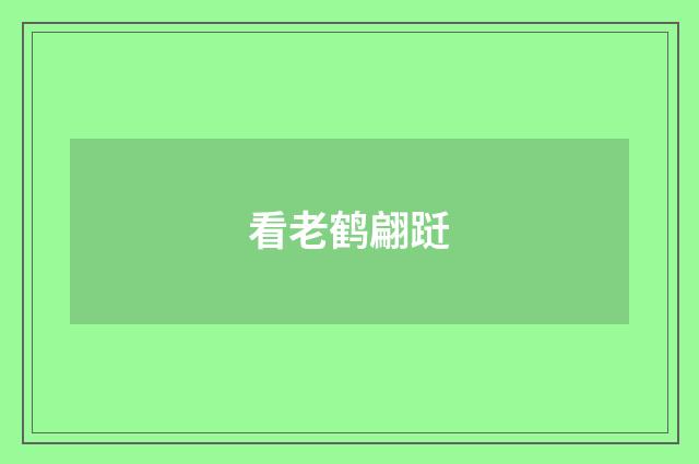 看老鹤翩跹