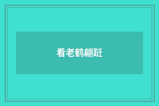 看老鹤翩跹