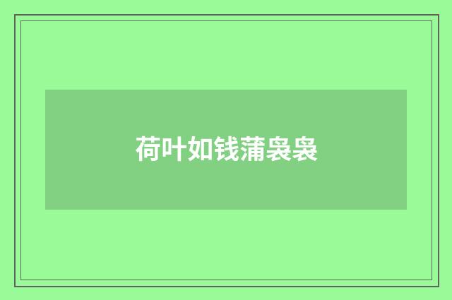 荷叶如钱蒲袅袅