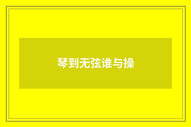 琴到无弦谁与操