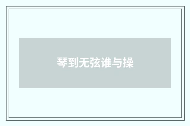 琴到无弦谁与操