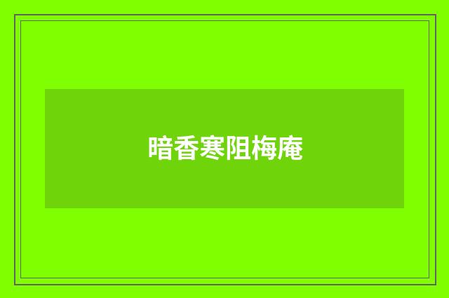 暗香寒阻梅庵