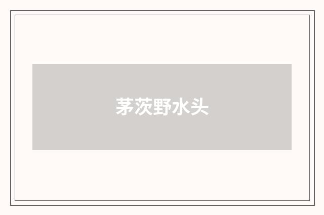 茅茨野水头