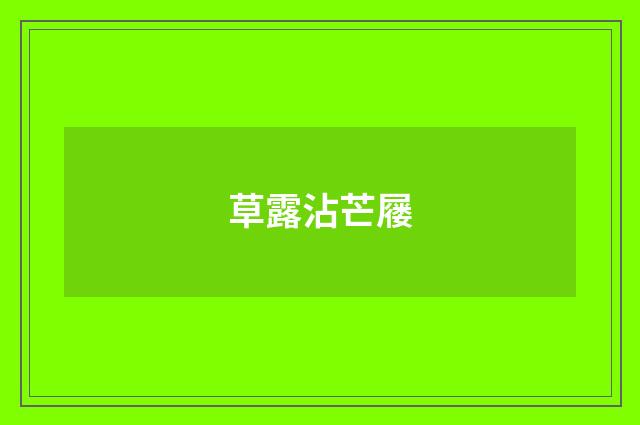 草露沾芒屦