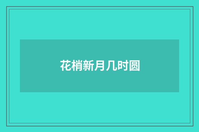 花梢新月几时圆