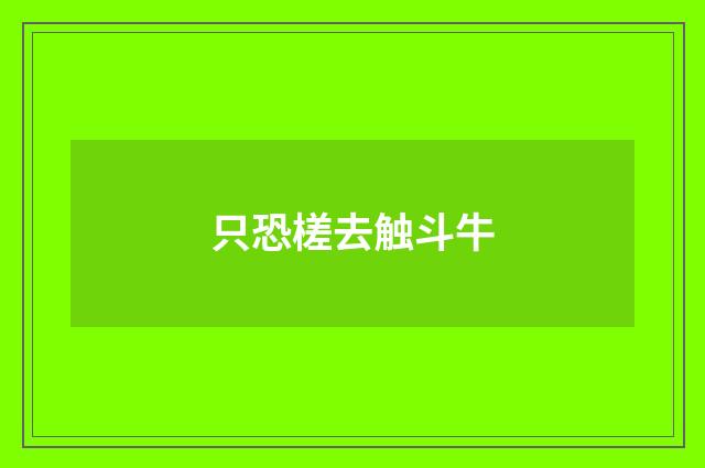 只恐槎去触斗牛
