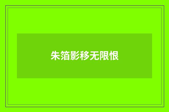 朱箔影移无限恨