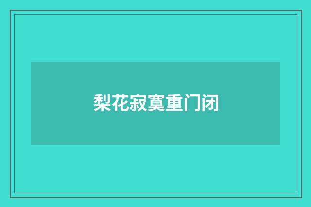 梨花寂寞重门闭