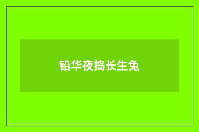 铅华夜捣长生兔