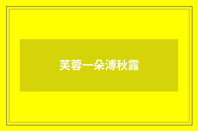芙蓉一朵溥秋露