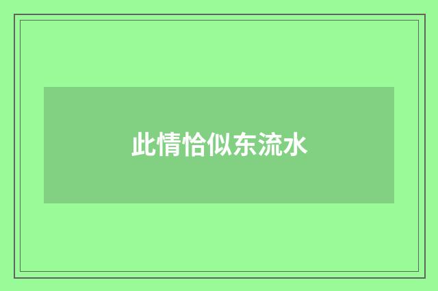 此情恰似东流水