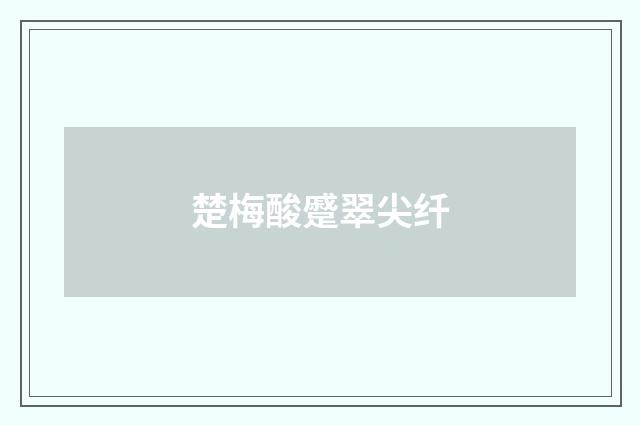 楚梅酸蹙翠尖纤