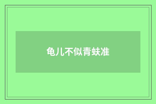 龟儿不似青蚨准
