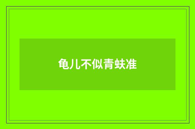 龟儿不似青蚨准