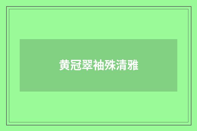 黄冠翠袖殊清雅