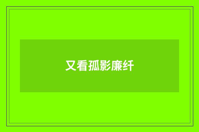 又看孤影廉纤