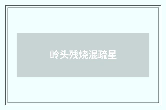 岭头残烧混疏星