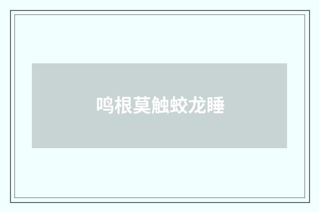 鸣根莫触蛟龙睡