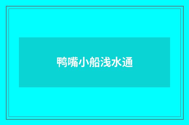 鸭嘴小船浅水通