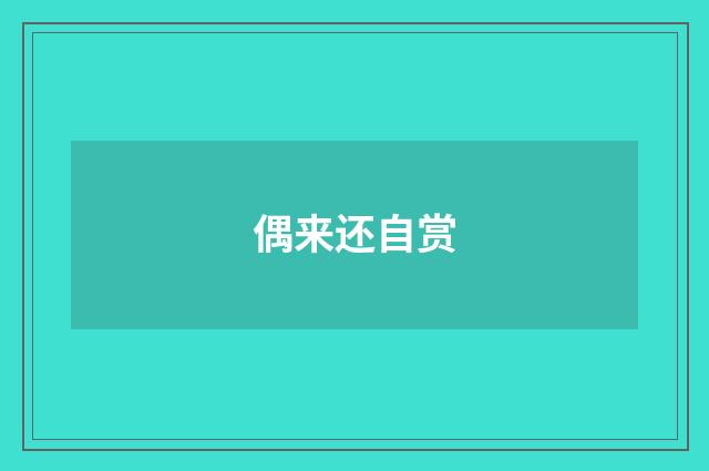 偶来还自赏