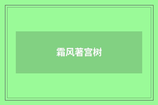霜风著宫树