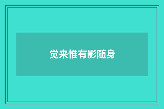 觉来惟有影随身