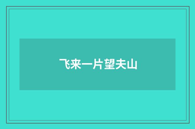 飞来一片望夫山