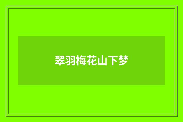 翠羽梅花山下梦