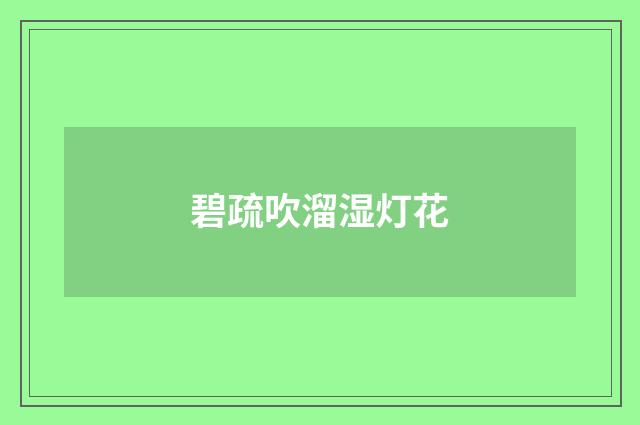碧疏吹溜湿灯花