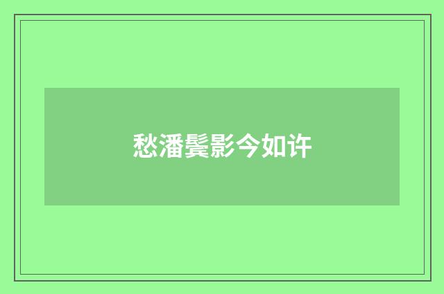 愁潘鬓影今如许