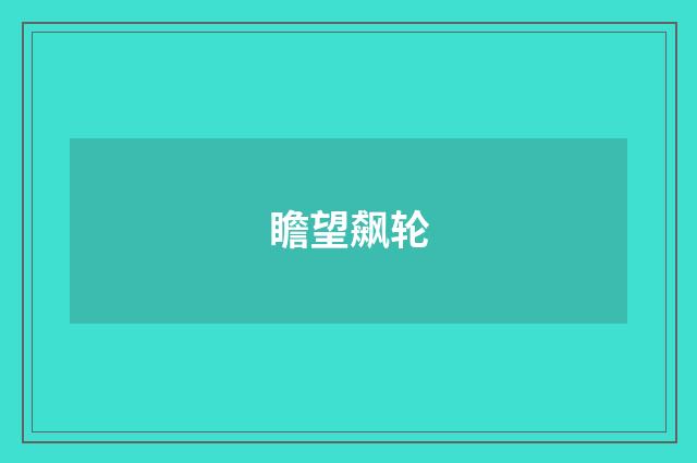 瞻望飙轮