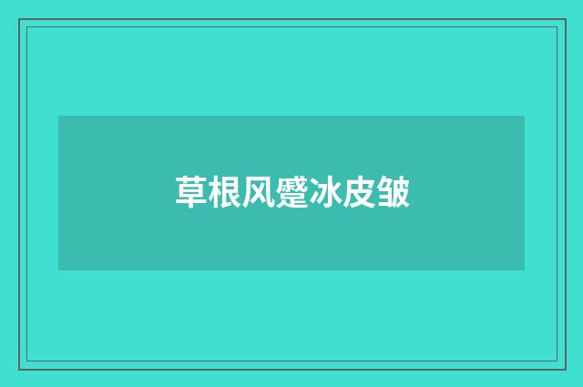 草根风蹙冰皮皱