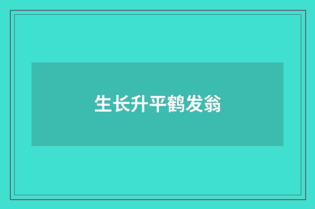 生长升平鹤发翁
