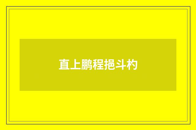 直上鹏程挹斗杓