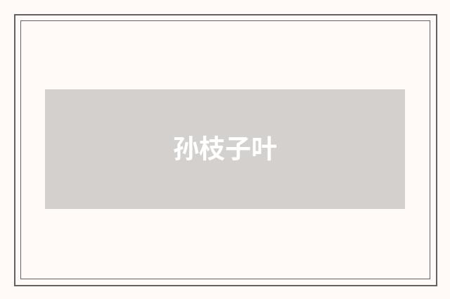 孙枝子叶