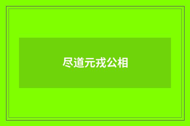 尽道元戎公相