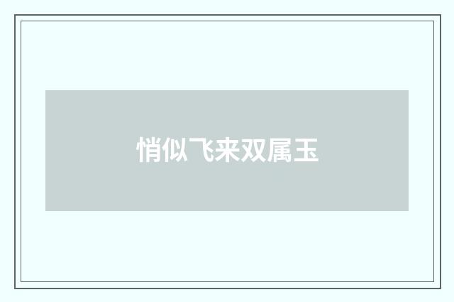 悄似飞来双属玉