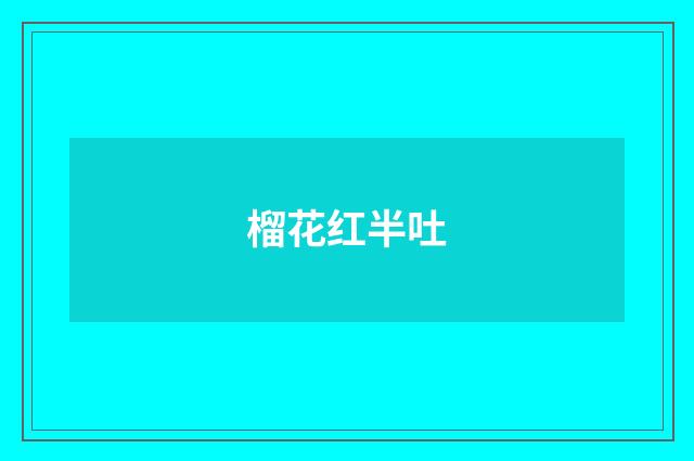 榴花红半吐