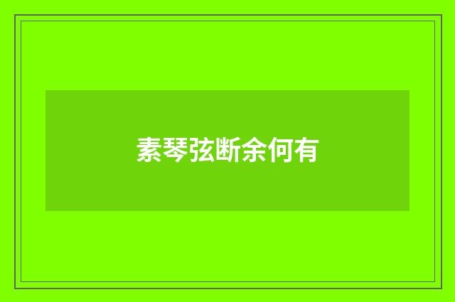 素琴弦断余何有